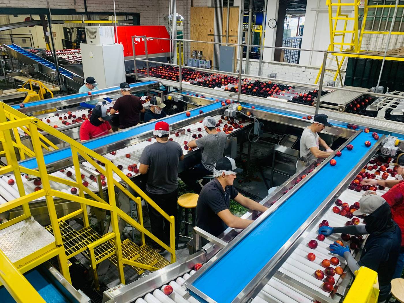 Apple factory chip production