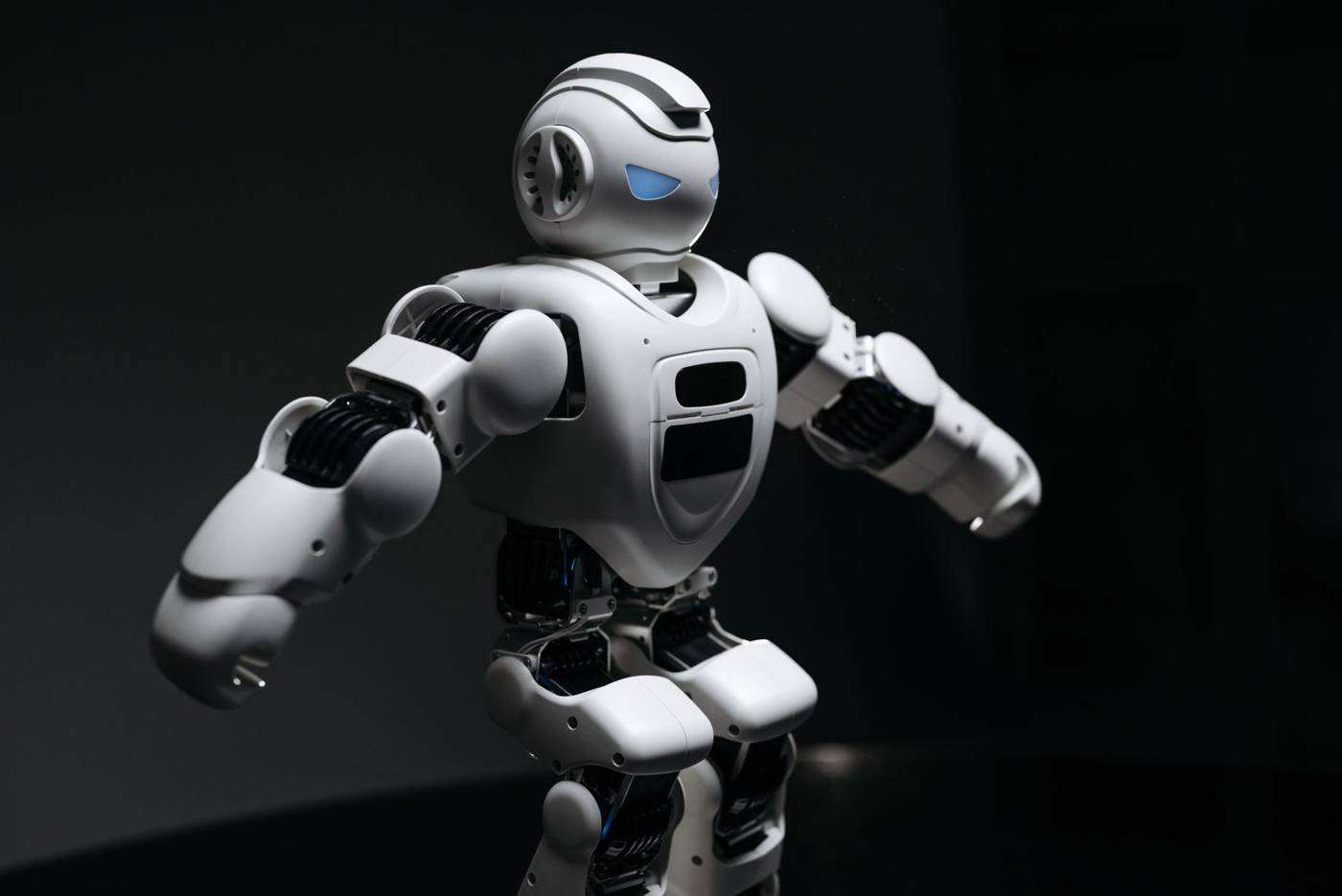 Bipedal robot warehouse