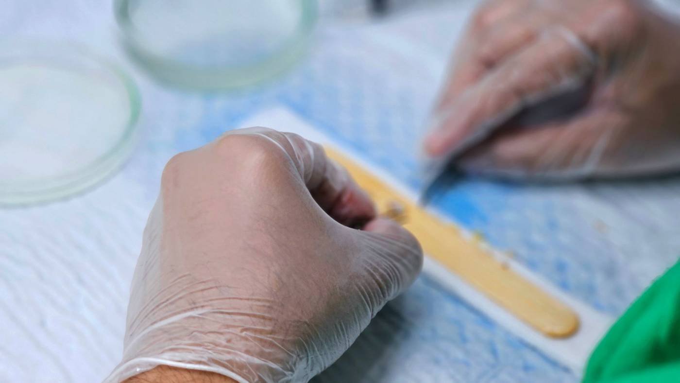 Dermatology topical treatment lab