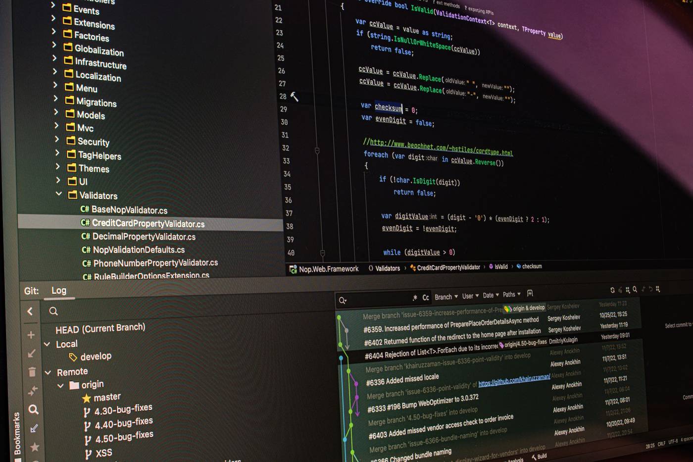Enterprise software developer coding