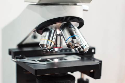 Micron (MU) Earnings Loom Amid Chip Sector Volatility
