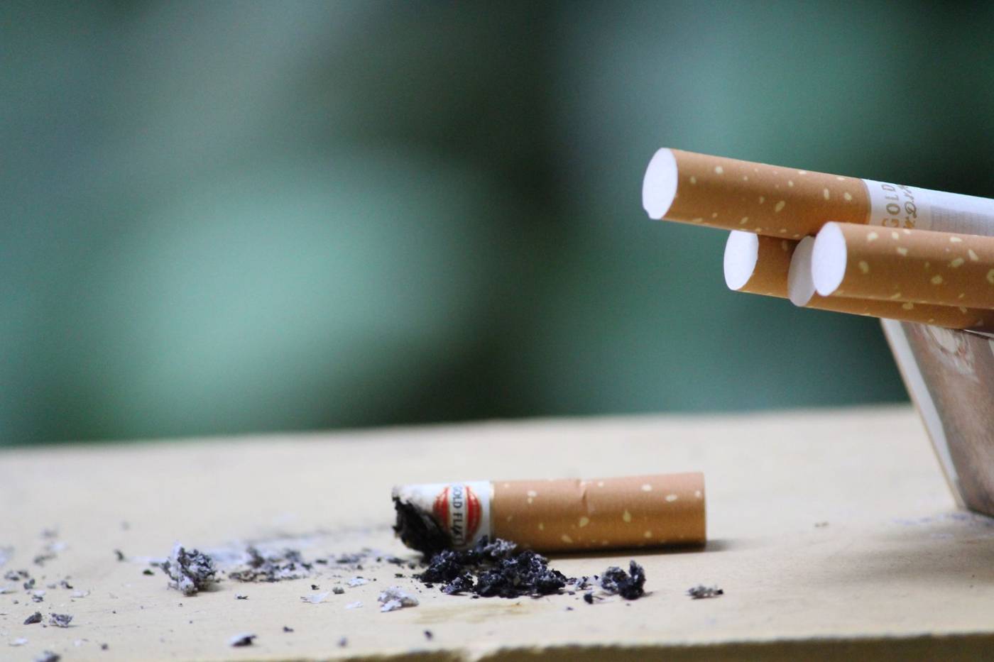 Philip Morris International jumped 3.27% to $178.69 as its smoke-free pivot meets EU regulatory pressure.