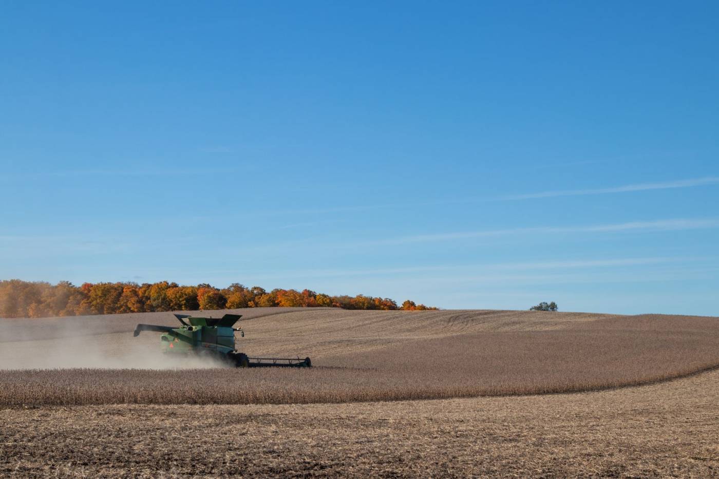 Soybean farm field